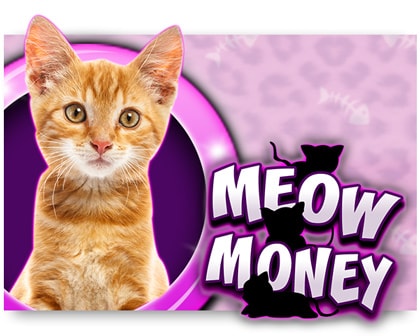 meow_money_logo_luckster