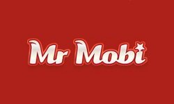 mr_mobi_logo_luckster
