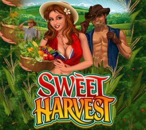 sweet-harvest-logo