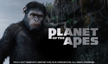 royal-panda-planet-of-apes